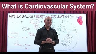 What is Cardiovascular System  Circulatory System  Biology  NEET  GCSE [upl. by Enohpesrep]