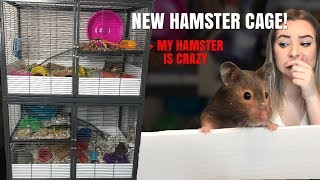 SETTING UP MY NEW HAMSTER CAGES  my hamster is crazy [upl. by Eyanaj]