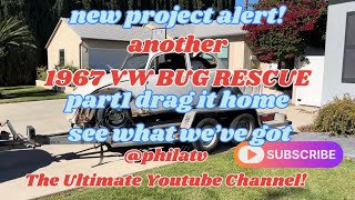 NEW PROJECT ALERT Another 1967 VW BUG RESCUE part1 vw vwbug vwbeetle 1967 project [upl. by Allehc]