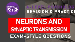 Neurons amp Synaptic Transmission  Exam Questions amp Revision  ALevel  AQA Psychology [upl. by Yleve]