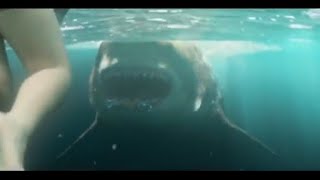 The Meg  Megalodon Shark Beach Attack Scene 2018Danielle Carleton BBCC [upl. by Esiled299]