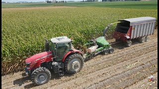 Chopping Corn Silage amp Filling Silo with Massey Ferguson Tractors [upl. by Hilary]