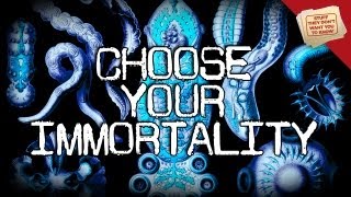 3 Types of Immortality  Digging Deeper [upl. by Ennovyhs]