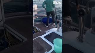 Moment Orca whales attack fishing boats in Spain shorts 😳 [upl. by Immas177]