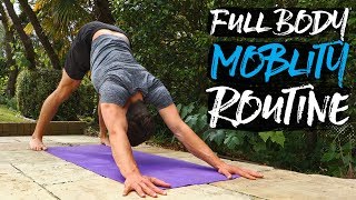 15 Minute Full Body Mobility Routine FOLLOW ALONG [upl. by Magnum]