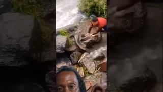 fishing amazingfisher fish catfish river incrediblefisher amazing amazingfishcatching [upl. by Ebbarta]