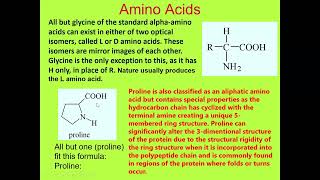 Proteins I Amino acids classification Structure properties Function Role I All in easy language [upl. by Aliehs]