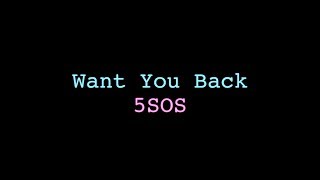 Want You Back 5SOS Lyrics [upl. by Gold213]