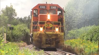 Good Size CBNS Freight Train 306 Rolling thru Murray Siding NS at Decent Speed [upl. by Fe726]