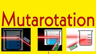 Mutarotation in biochemistry ll Mechanism of mutarotation in biochemistry II Process of mutarotation [upl. by Earvin]