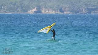 Merimbula NSW Wingfoiling ready for the Raging Bull Surf Classic [upl. by Denison]