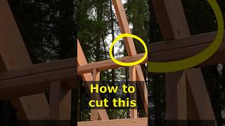 Cabin Build Hacks  Rafter Birdsmouth Cut [upl. by Otipaga]