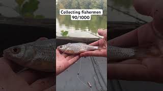 What I caught fishing today fishing fish carp bigfish fishingvideo fisherman shorts [upl. by Dayiz]