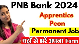 PNB Apprentice 2024 Notification  PNB Peon Vacancy 2024  PNB Bank Form Kaise Bhare [upl. by Mccallum]