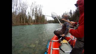 Cowichan River Steelhead  BC Steelheading  RamblingFishermancom [upl. by Gittel]