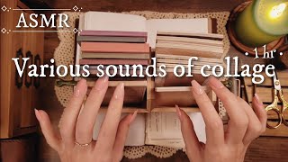 ASMR｜コラージュの色々な音Various sounds of collage｜sleepingRelaxing 睡眠作業BGM [upl. by Livi]