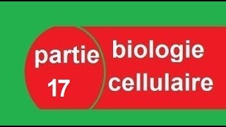 cours biologie cellulaire partie 17 réticulum endoplasmique  البيولوجيا بالدارجة [upl. by Broderic]