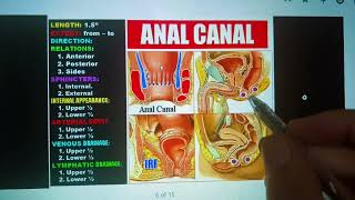 Anatomy of PerineumAnal Triangle and Ischiorectal Fossa anatomy [upl. by Faro]