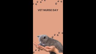 Vet Nurse Day [upl. by Atikaj159]