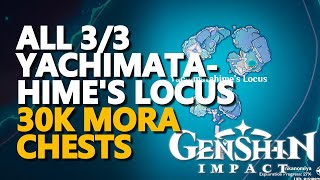 All Yachimatahimes Locus Smashed Stone Genshin Impact Mora Chests [upl. by Sholem481]