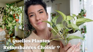 Quelles plantes retombantes choisir  Sélection amp conseils d’entretien [upl. by Nemajneb]