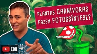 PLANTAS CARNÍVORAS FAZEM FOTOSSÍNTESE [upl. by Azal]