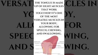 👅 Tongue Talk Fascinating Facts About Your Tongue 🍽️ [upl. by Oiramel487]