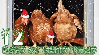 12 Days of Christmas 12 French Hens  Parody [upl. by Decato]