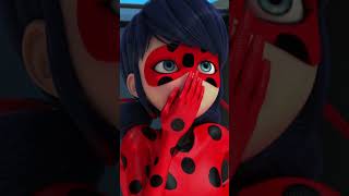 LADYBUG 🐞 Adrien siempre está ahí… aunque sea entre cartones  Disney Channel Oficial [upl. by Yrdnal]