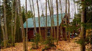 Log Cabin built in the Canadian North Came across this white deer going on my Land [upl. by Tomlinson272]