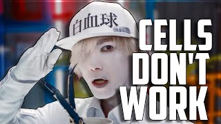 Cells at Work Live Action Movie Trailer REACTION [upl. by Ymar]