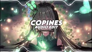 copines  aya nakamura edit audio [upl. by Eiduam909]