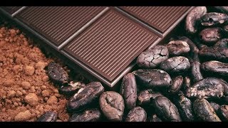 Health benefits of chocolate [upl. by Radman172]