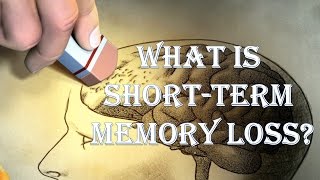 Short Term Memory Loss [upl. by Allin765]