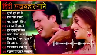 90s Old Hindi Song 💕 90s Love Song 🥀Udit Narayan ✨ Alka yagnik 💓Kmar Sanu Sonu [upl. by Nadnarb]