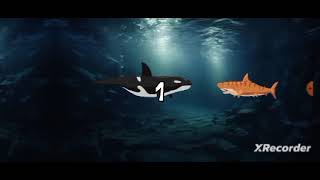 SEA ANIMAL FIGHT 55 SHARK FIGHT SEA CREATURES [upl. by Geithner164]