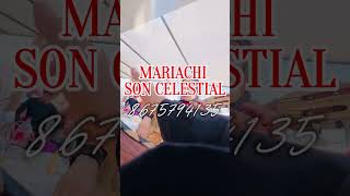 Nochecitas mexicanas  mariachi Son Celestial [upl. by Sisco804]