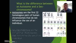 Autosomes V Sex Chromosomes  Mr H [upl. by Deach]