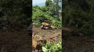 Advantages of the D6R XL Bulldozer in Clearing Oil Palm Fields in the Mountains [upl. by Earahc]