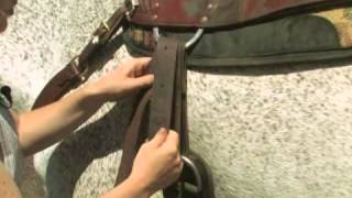 What Is the Proper Way to Cinch a Saddle [upl. by Clement]