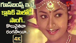 Malavika Sarkar Beautiful Song 4K  Koluvaitiva Ranga Sai Song  Ananda Bhairavi  Old Telugu Songs [upl. by Lorry992]