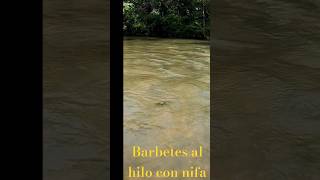 Pesca mosca al hilo en rio [upl. by Ainsworth]