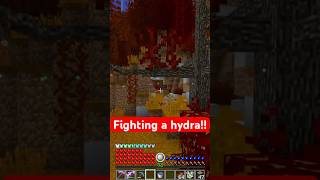 Hydra minecraft gaming rlcraft rlcraftminecraft rlcraftdregora minecraftgameplay rlcraftv2 [upl. by Yelahc]