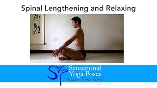 Spine Exercise lengthening and relaxing for spinal mobility [upl. by Ennis]