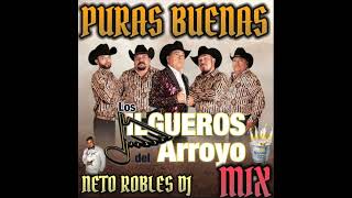 LOS JILGUEROS DEL ARROYO MIX byNeto Robles Dj [upl. by Candida]