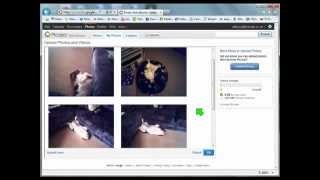 How to upload photos to Picasa Web Album  Video guide [upl. by Toback]