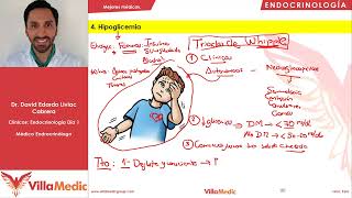 Hipoglicemia  Endocrinología  Villamedic Clínicas 2021 [upl. by Hancock445]