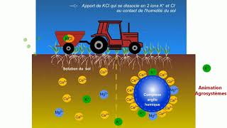 Le complexe argilo humique  sa réactivité avec les ions et son importance dans lagriculture [upl. by Nollat392]