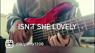 Isn’t she lovely bass cover [upl. by Elvia]