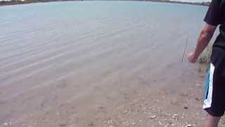 Blue Crab Fishing Matagorda Texas Summer Beach Fun [upl. by Mauro]